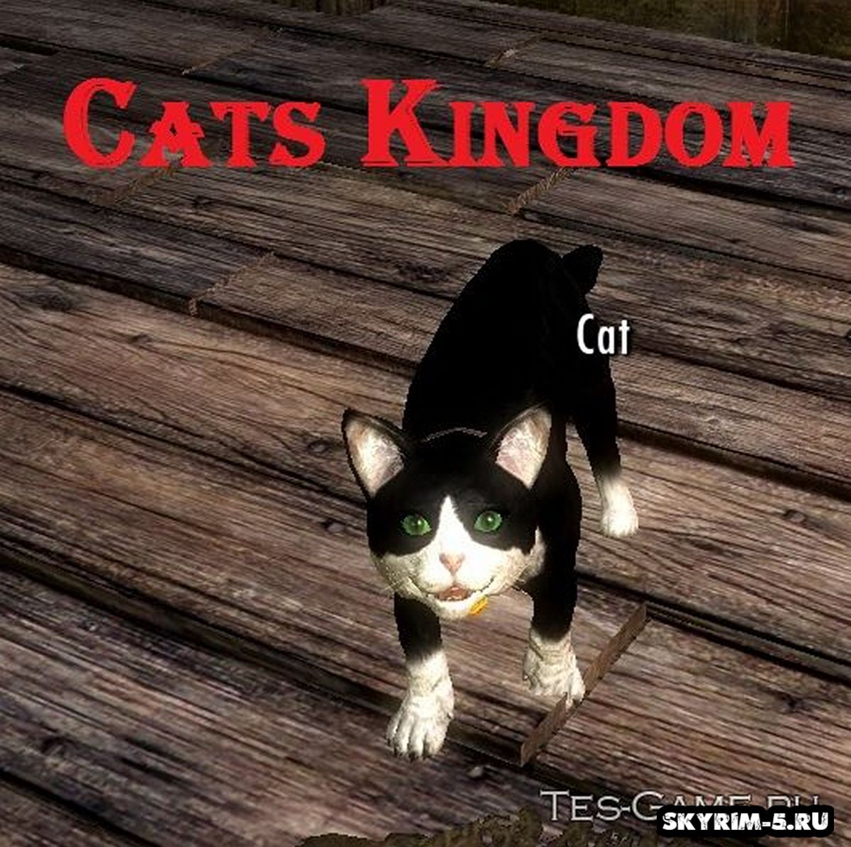 Коты в Скайриме