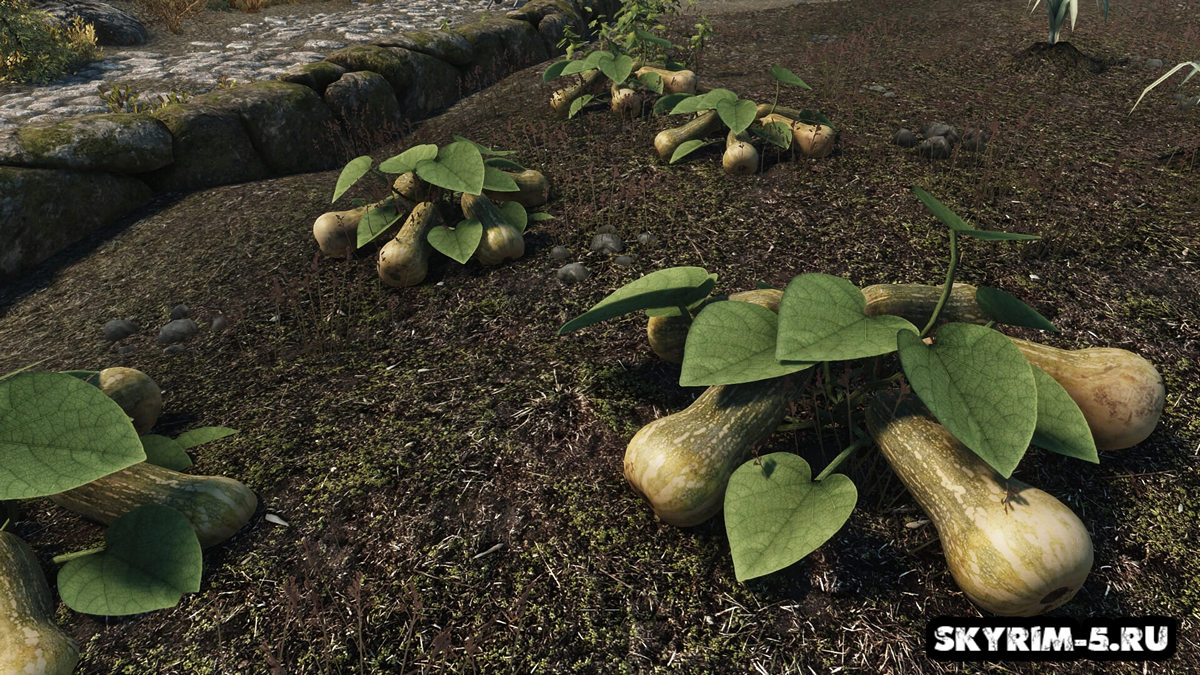 HD Тыквы / Improved Gourds