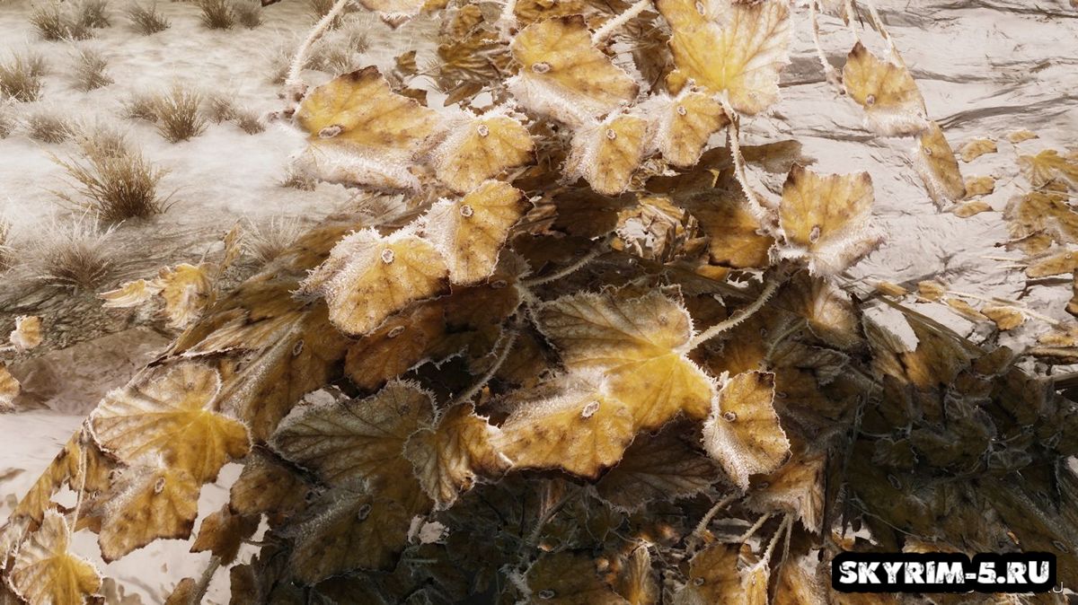 UHD заснеженные листья