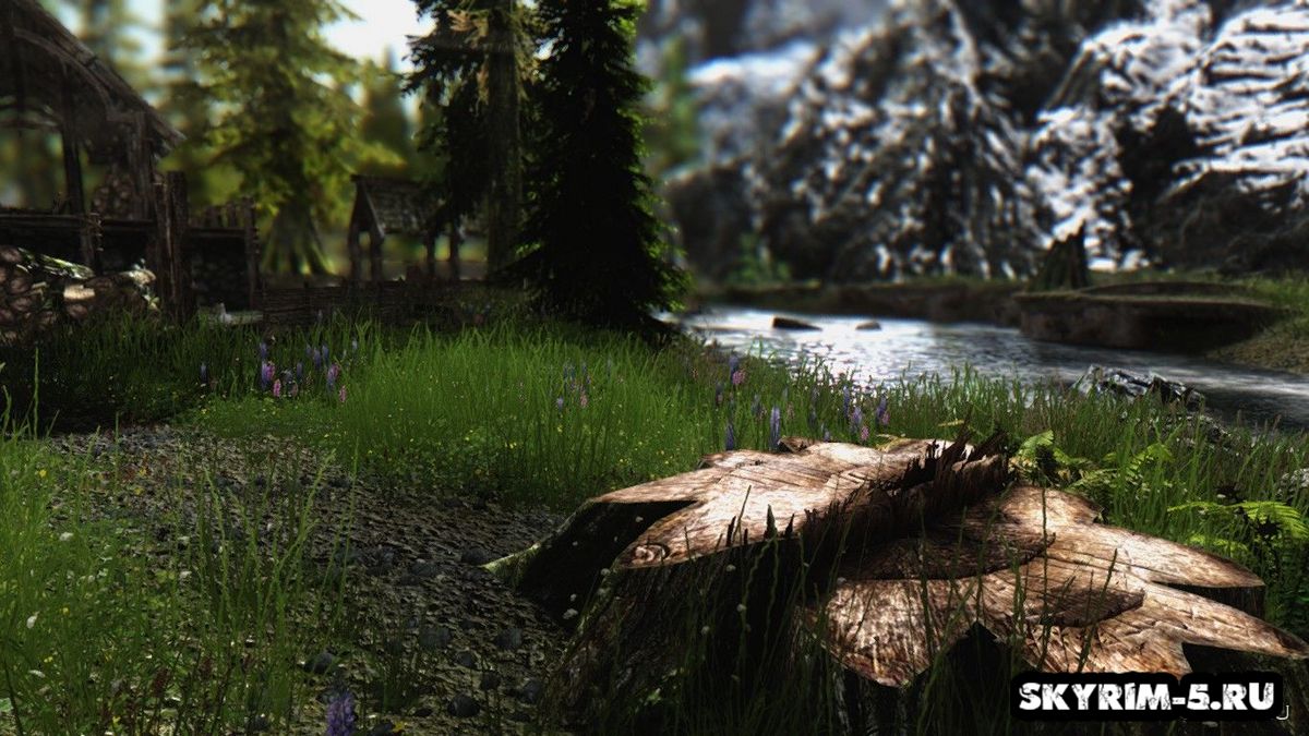 Lexi ENB