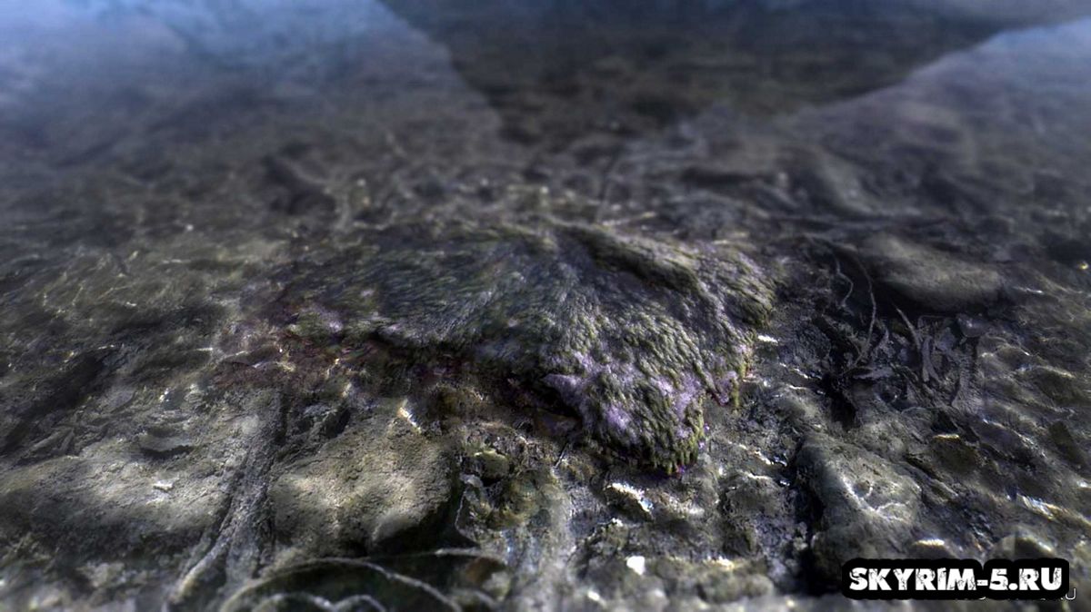 HD Подводная трава, мох -