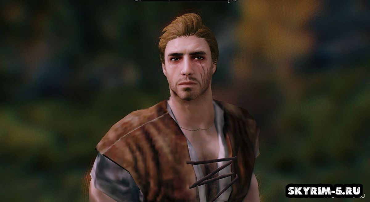 Male NPC Overhaul 2 LE