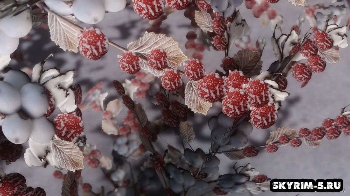 Снежные ягоды UHD