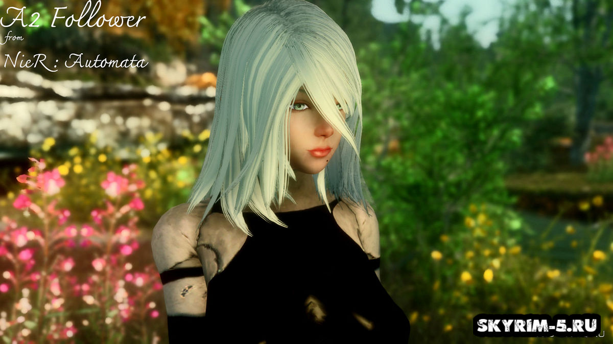 A2 спутница - NieR Automata
