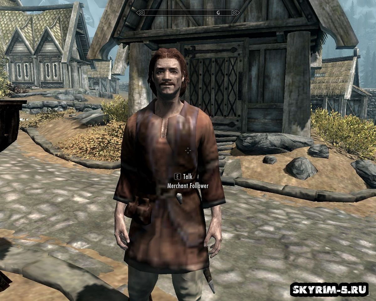 Спутник-торговец для Skyrim