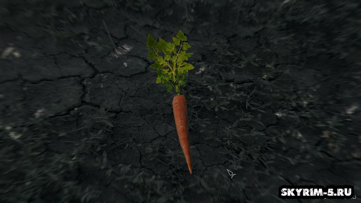 HD морковка