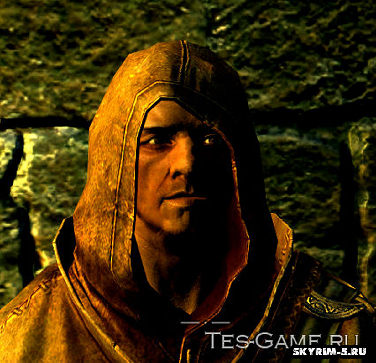 Читы Skyrim - невидимость в режиме скрытности