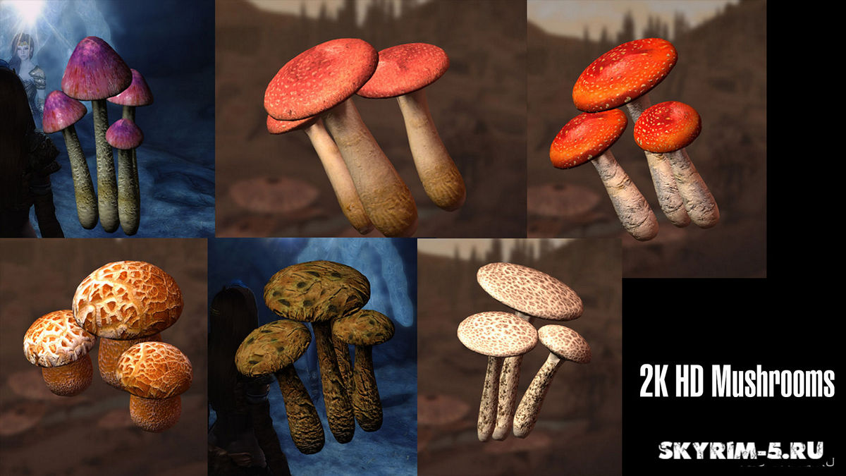 Skyrim Legendary Compatible Mods