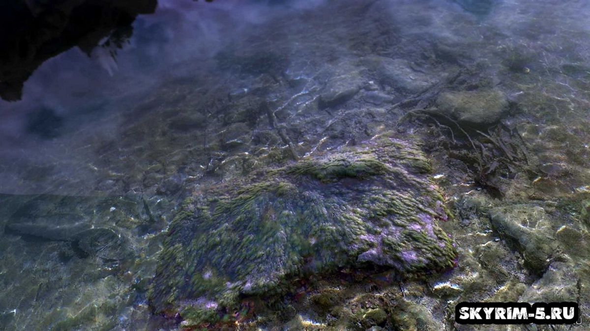 HD Подводная трава, мох -