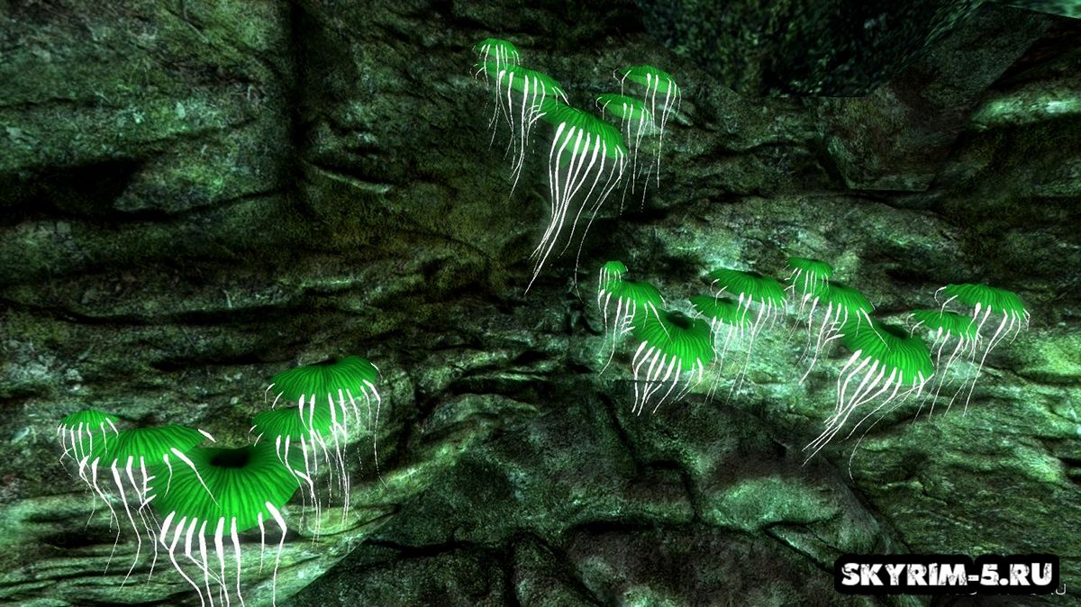 HD glowingmushrooms green