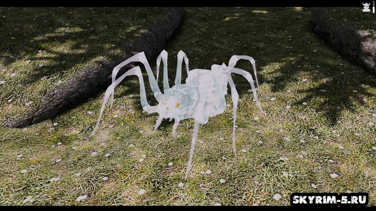 Фургаро - паук альбинос / Furgaro The Albino Spider