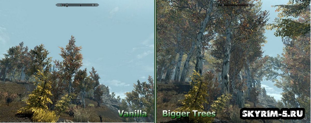 Большие деревья Скайрима -