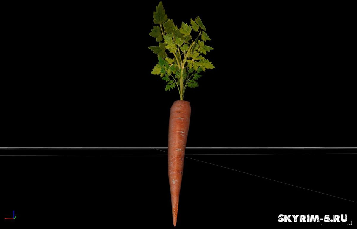 HD морковка -