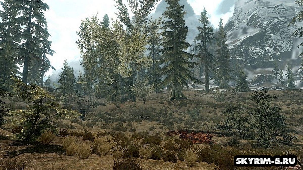 The landscape of the tundra