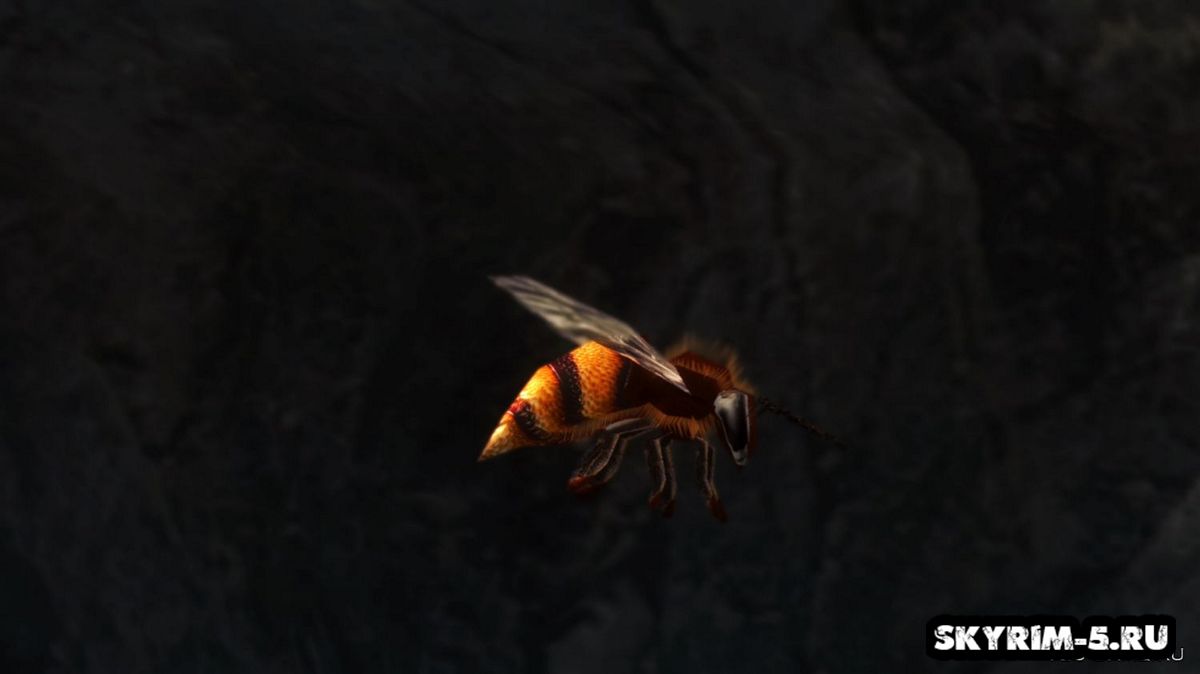 Пчелы UHD -