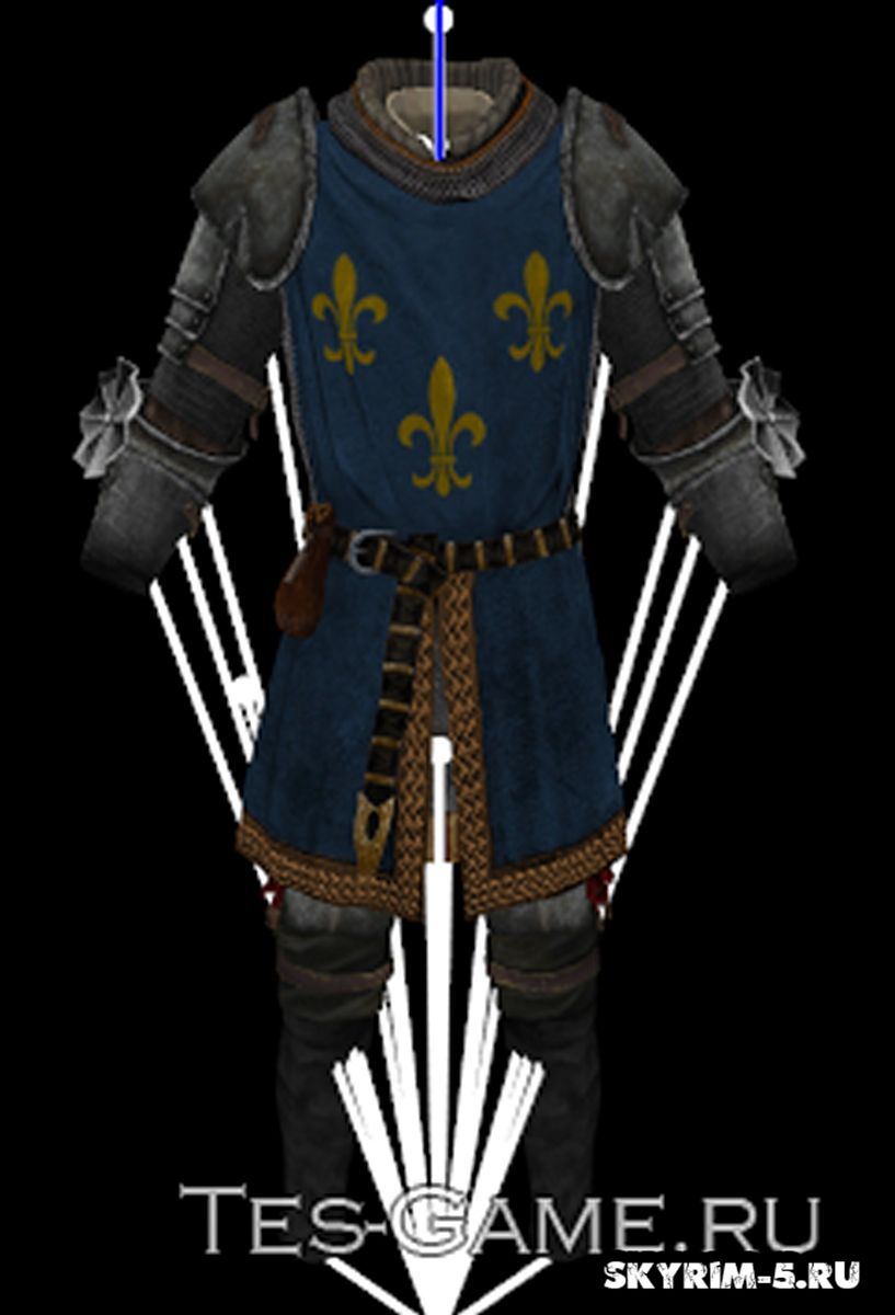 Medieval Surcoat Armor