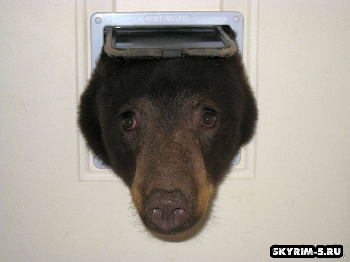 Истинный охотник