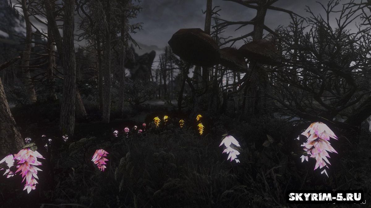 Morkt ENB