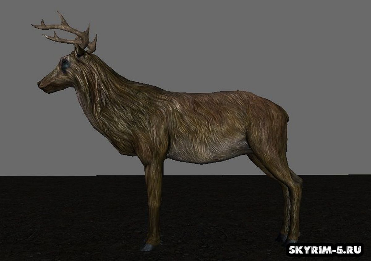 Dramatic Deer