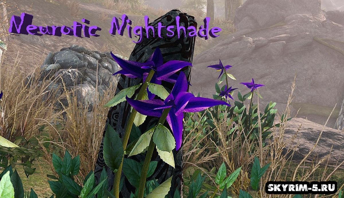 Neurotic Nightshade - Ретекстур паслена
