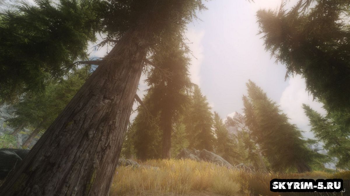 ENB - A Bleak Vivid Weather